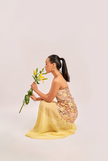 Sunspell dress with detachable skirt & dupatta