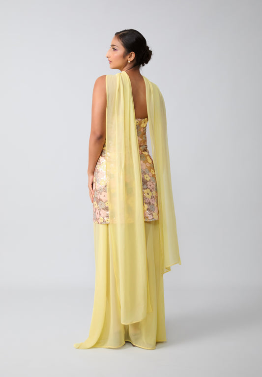 Sunspell dress with detachable skirt & dupatta