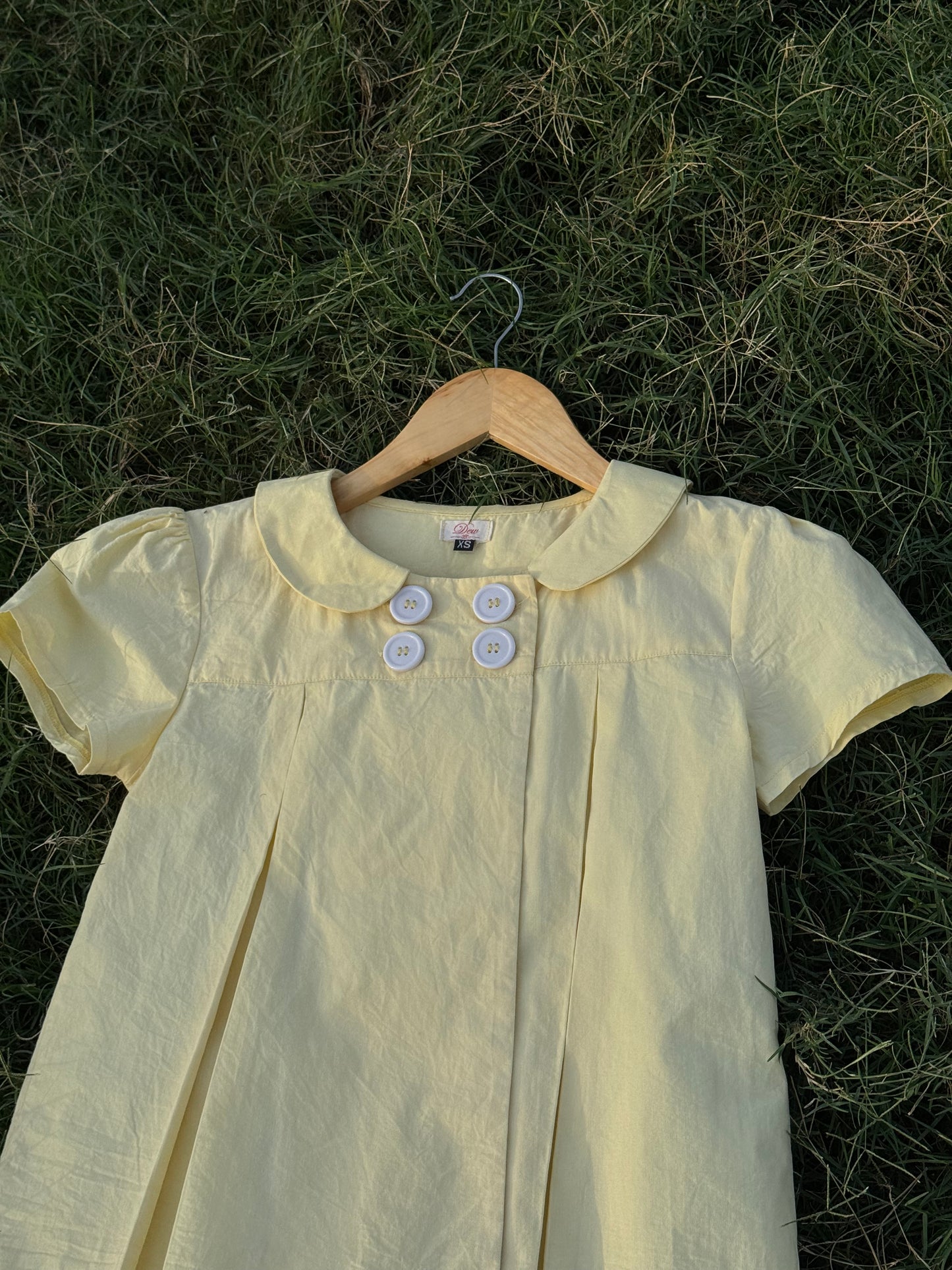 Lily in butter yellow
