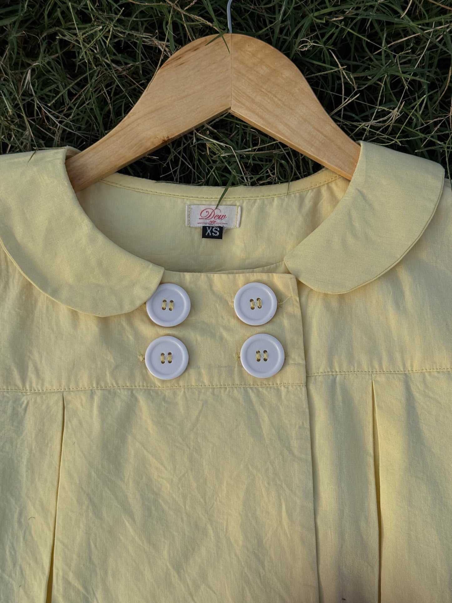 Lily in butter yellow