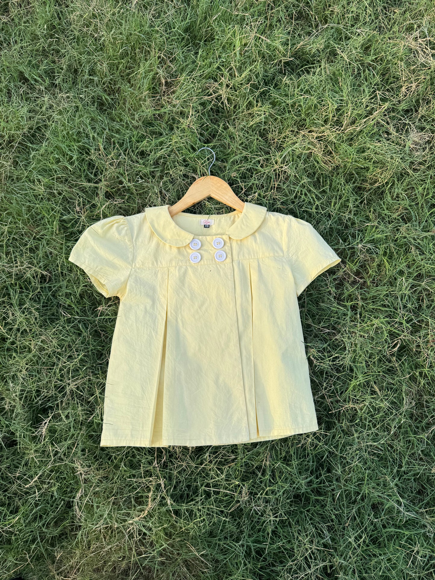 Lily in butter yellow