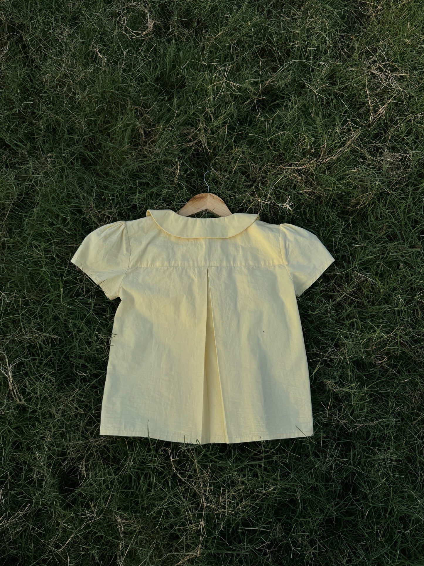 Lily in butter yellow